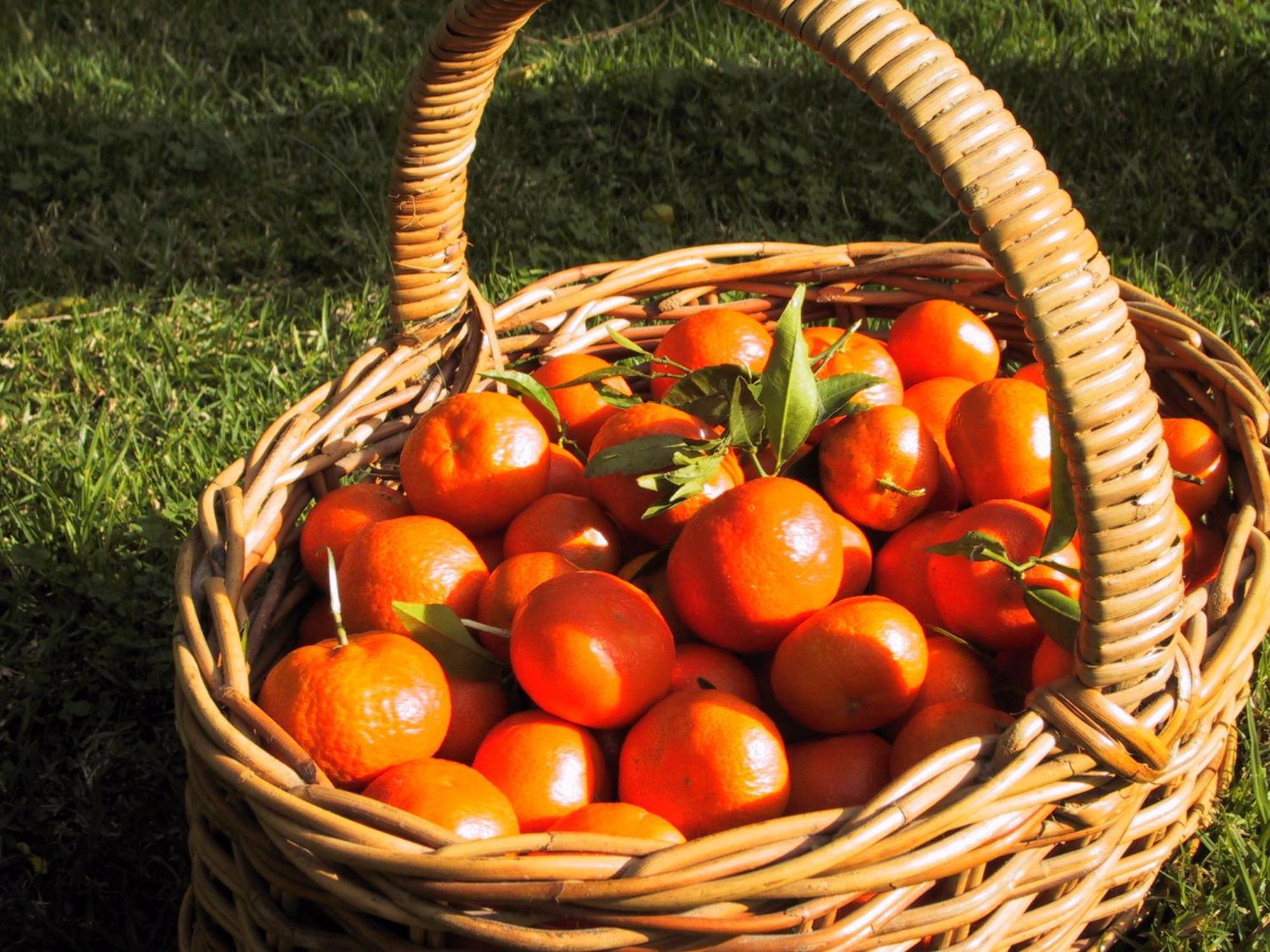 Finca Cas Sant Sóller Eksteriør billede
