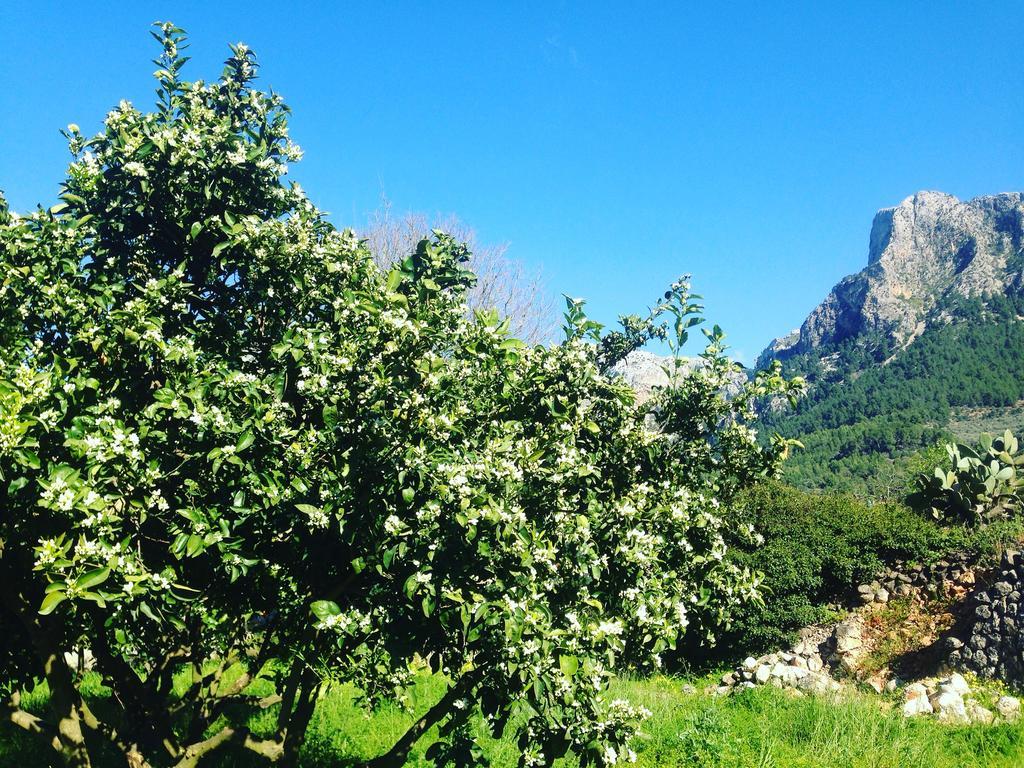 Finca Cas Sant Sóller Eksteriør billede