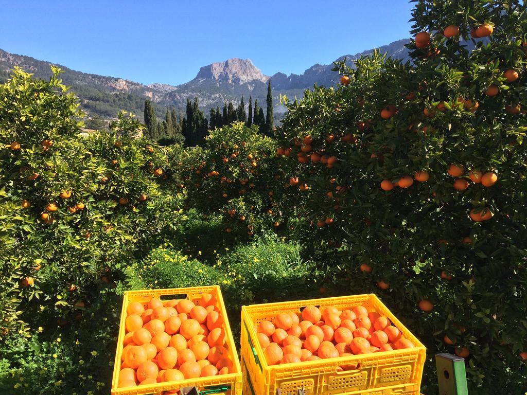 Finca Cas Sant Sóller Eksteriør billede