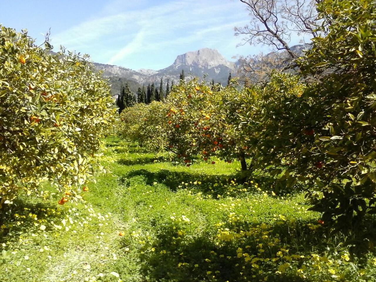 Finca Cas Sant Sóller Eksteriør billede