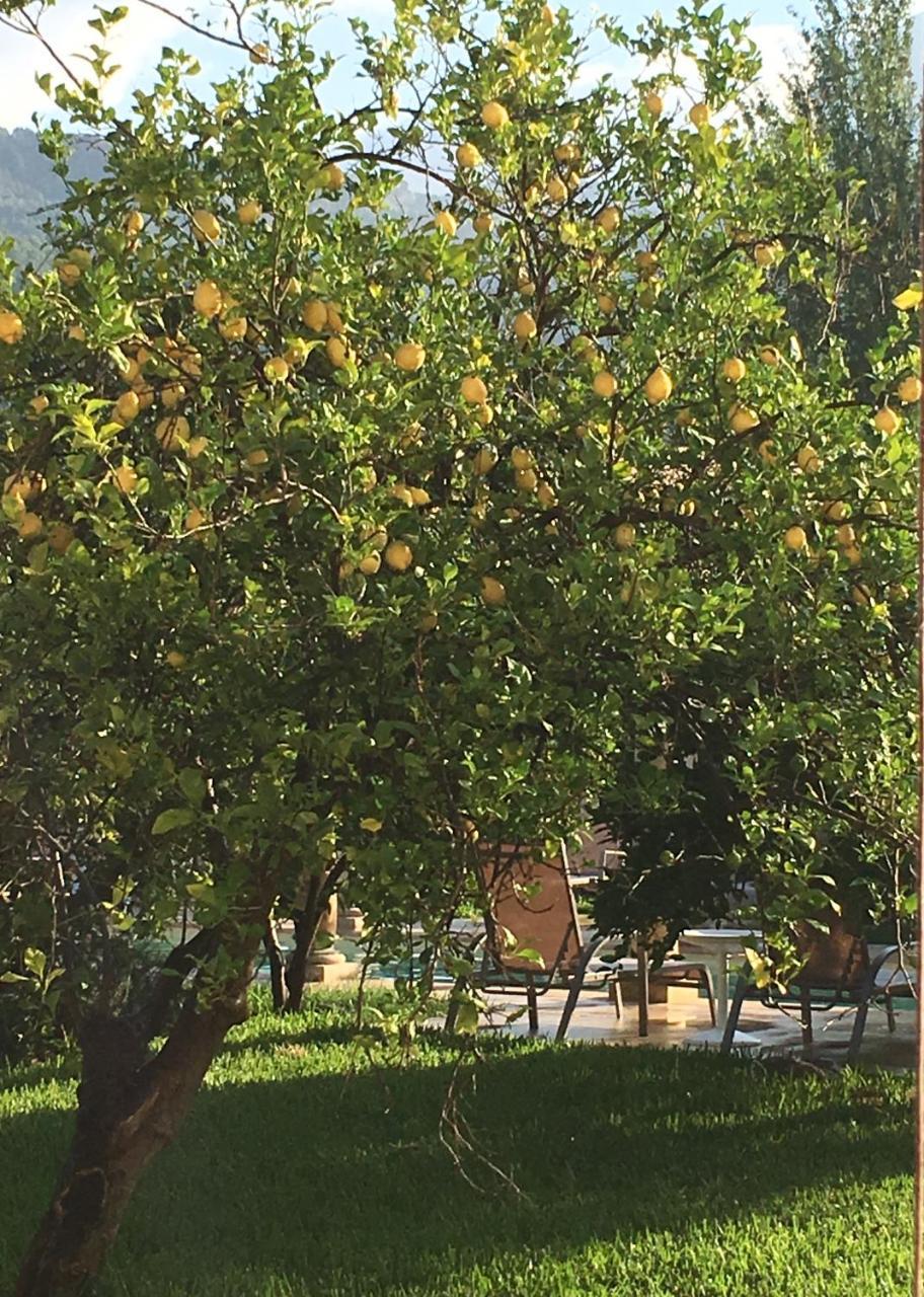 Finca Cas Sant Sóller Eksteriør billede